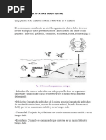 TALLER DE REFUERZO GRADO 7 Optativas