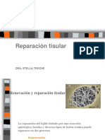 Reparación Tisular