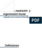 Resumen Renovación, Reparación y Regeneración PDF