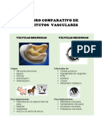 Cuadro Comparativo Sustitutos Vasculares