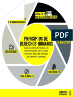 Principios de Derechos Humanos PDF