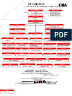 Struktur Organisasi Lira DPD