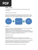 NIA 210 EJERCICIO