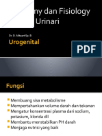 Urogenital