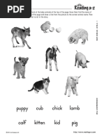 A Revised Felidae Taxonomy CatNews  PDF  Felidae  Species