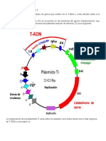 Actividad 1.Fernando Palomo Pérez. Equipo 5.docx