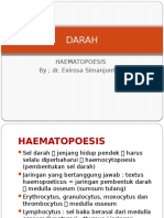 Hematologi - Haematopoesis