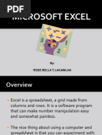 Microsoft Excel