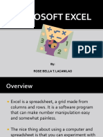 Microsoft Excel