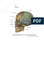 csonttan2.pdf