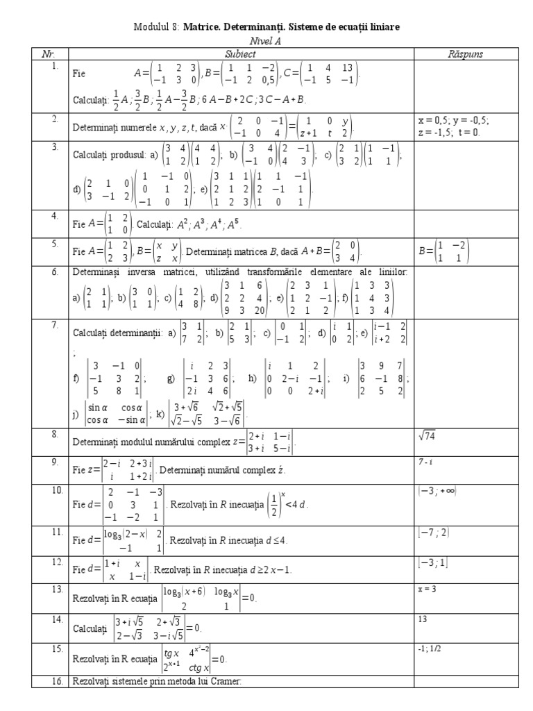 Matrice XII | PDF