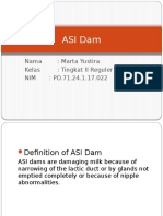 B.Inggris ASI Dam