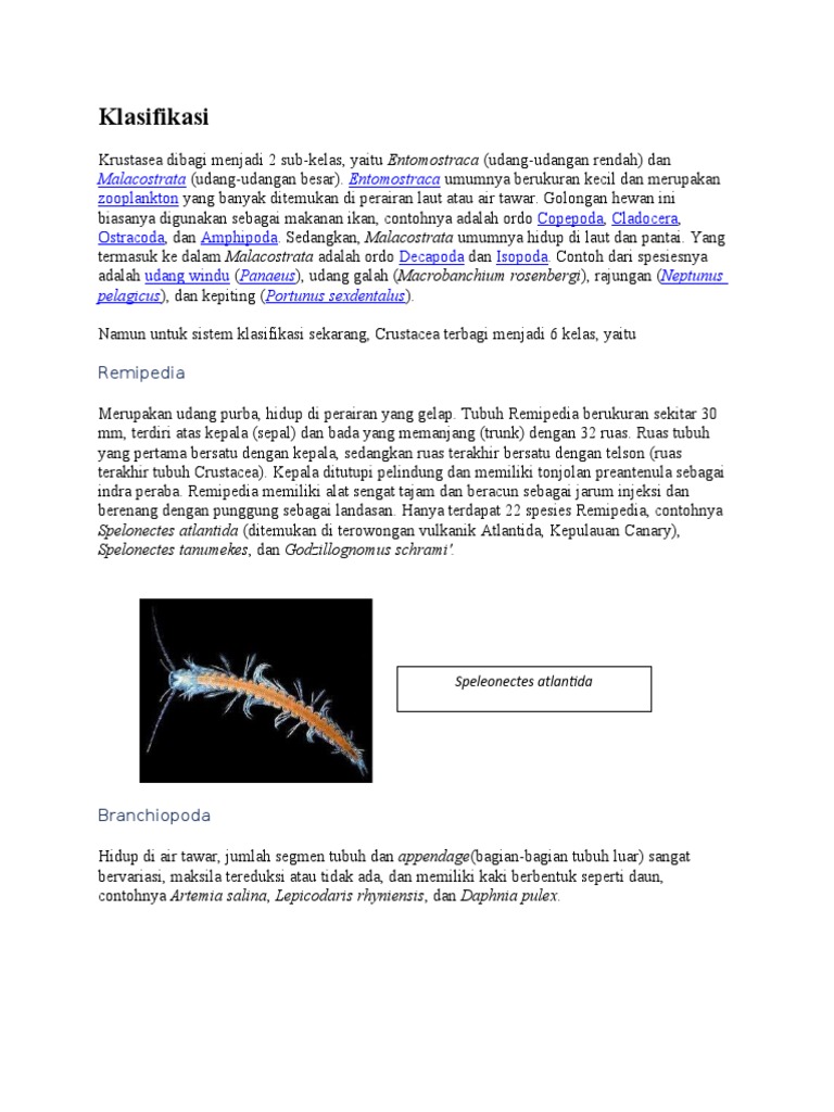 Crustacea Fix | PDF | Ilmu Sosial | Griya & Taman