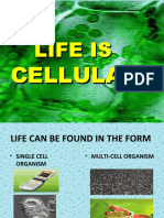 Biology LIFE IS CELLULAR Power Point