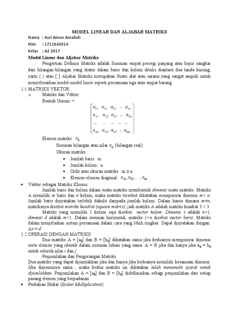 Model Linear Dan Aljabar Matriks | PDF