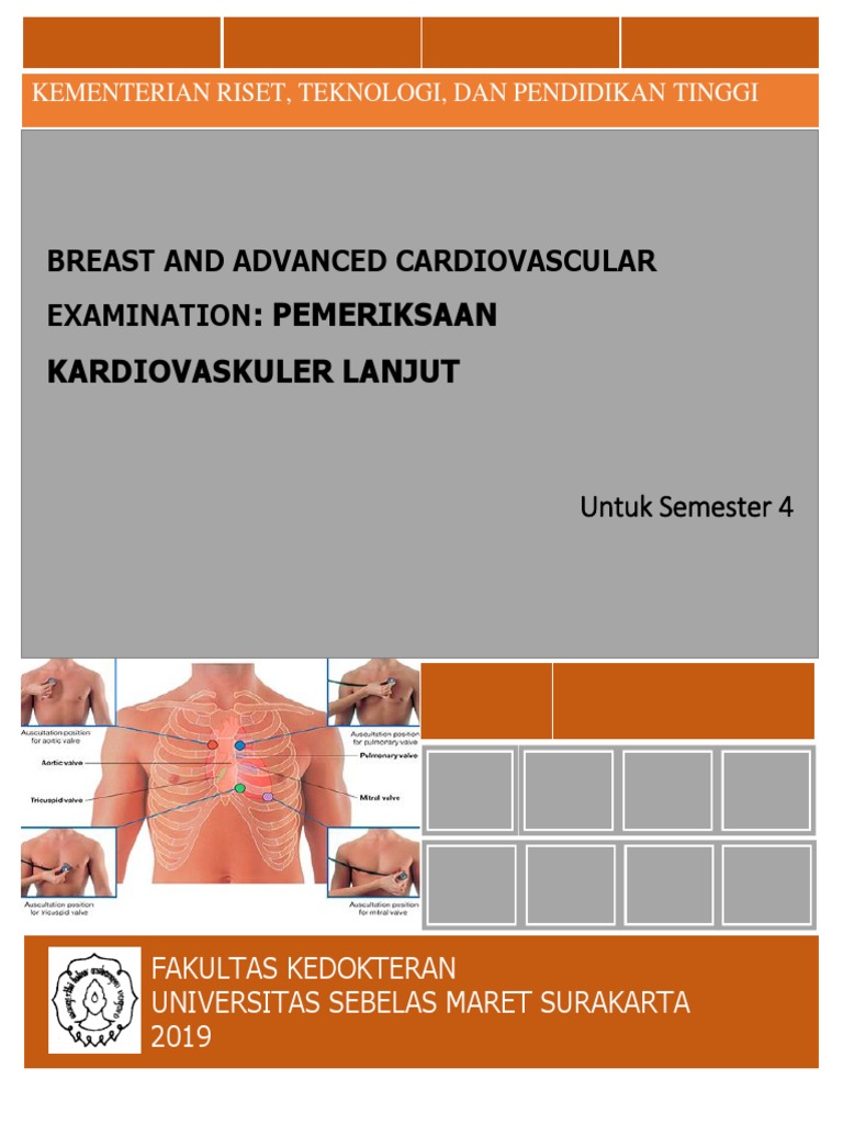 Pemeriksaan Kelainan Dada Kardiovaskuler | PDF