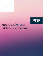 Mineria se datos.pdf
