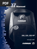 Evinrude E-TEC 200-250 HP