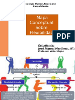 Mapa Conceptual Sobre Flexibilidad