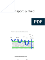 transport AND FLUID.pptx