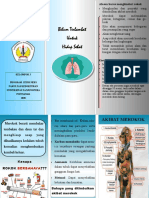 Leaflet ISO.pdf