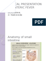 Clinical Presentation On Enteric Fever