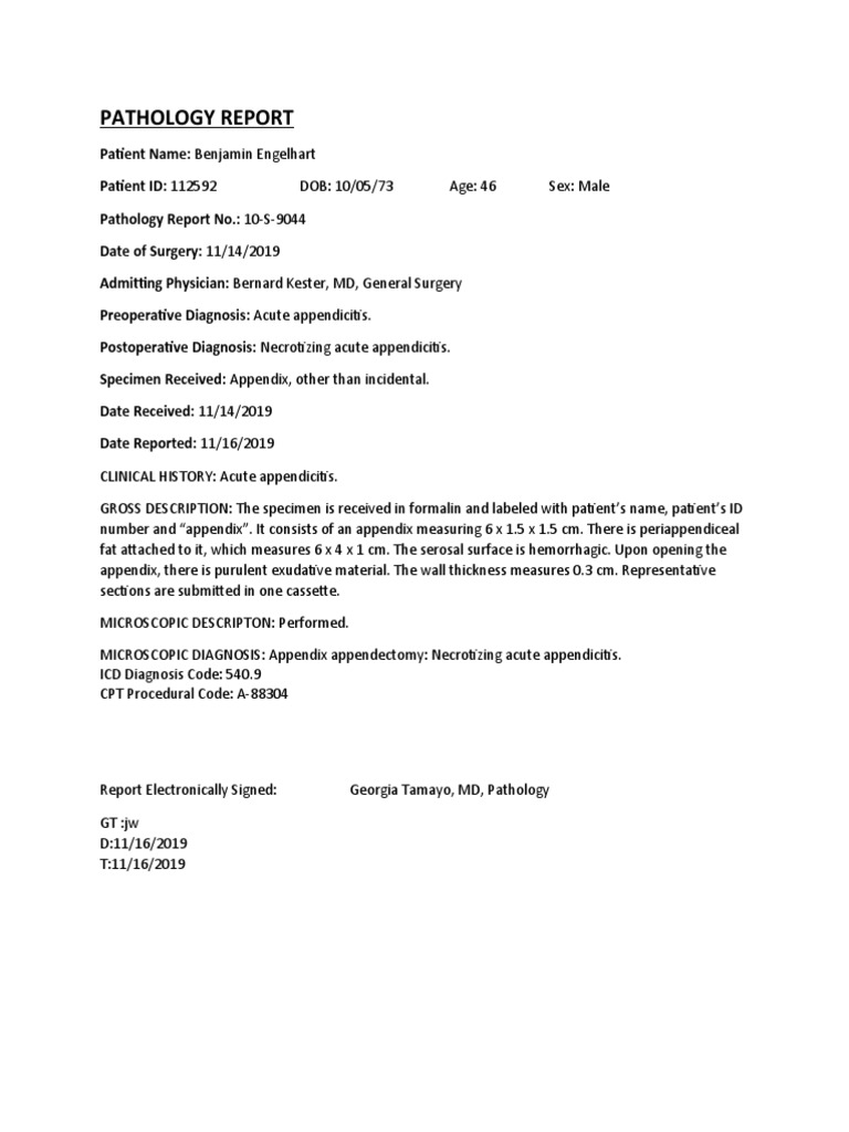 Necrotizing Acute Appendicitis Report | PDF