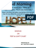 Presentation On Pert