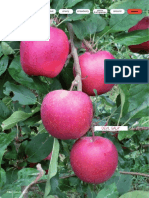 Brosura Apple 08melo - GB PDF