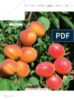 Brosura Apricot 02albicocco - GB1 PDF