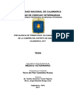 TESIS COMPLETA PILAR.pdf
