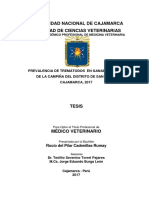 Tesis Completa Pilar PDF