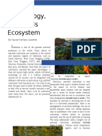 Sea Ecology, Seaweeds Ecosystem: (CITATION Agi14 /L 14345)