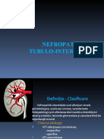 Nefropatiile Tubulo - Interstitiale