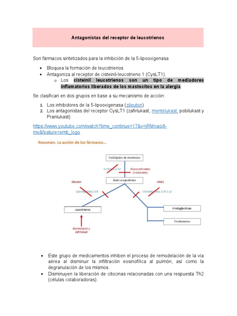 Antagonistas Del Receptor de Leucotrienos PDF
