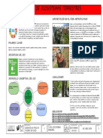 Ods 15 PDF