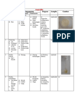 Antibiotik Ampicillin