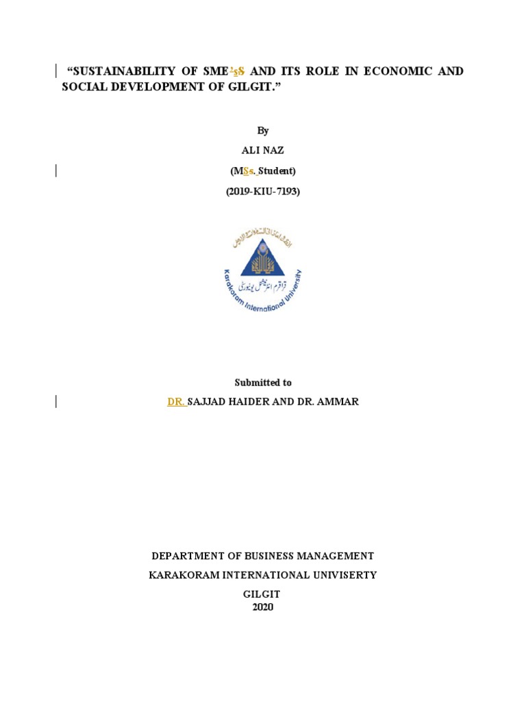 SME Sustainability in Gilgit's Development | PDF | Small And Medium ...