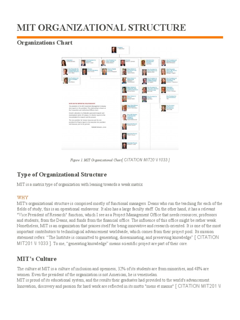 MIT Matrix Organizational Structure | PDF