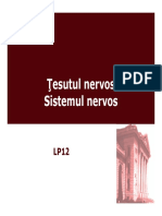 LP12 Tesut nervos [Compatibility Mode].pdf