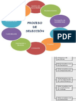 Proceso de selección