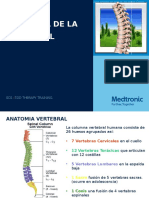 01 NHT SCS-TDD Anatomia SP