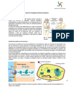 Guía Lab 4