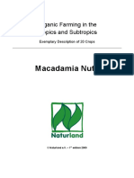 Annex 1 - macadamia organic.pdf