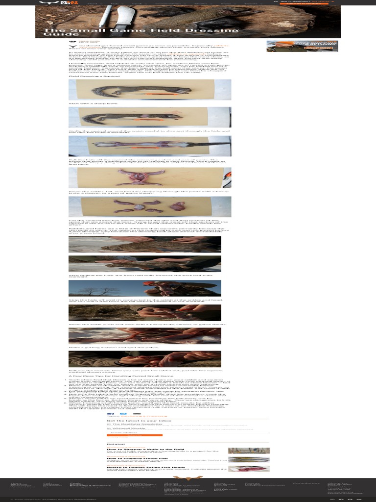 The Small Game Field Dressing Guide MeatEater Cook PDF Hide (Skin