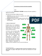 Identificación de Estructuras y Funciones Del Sistema Esquelético 4 Basico