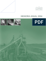Cap Memoria Anual 2004 Esp PDF