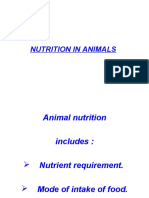 Nutrition in Animals