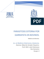 Parasitosis externa por garrapatas
