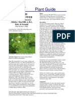 Illinois Bundleflower Plant Guide PDF
